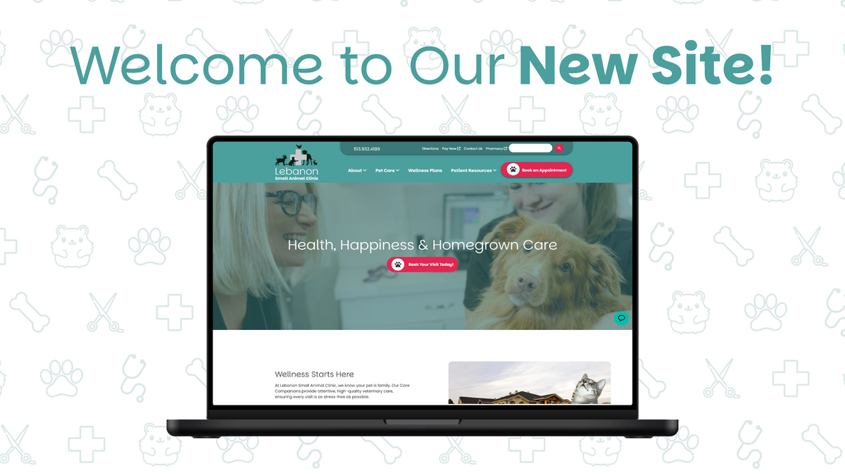 Lebanon Small Animal Clinic website displayed on a laptop text reads welcome to our new site