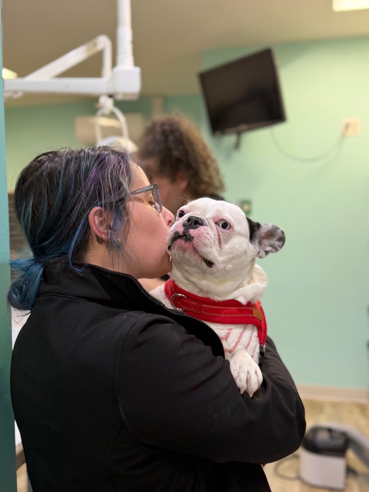 Woman hugging a french bulldog