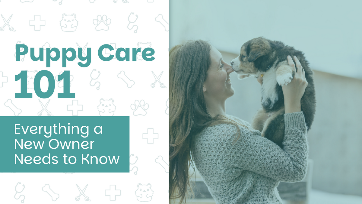 Puppy Care 101: Everything a New Owner Needs to Know