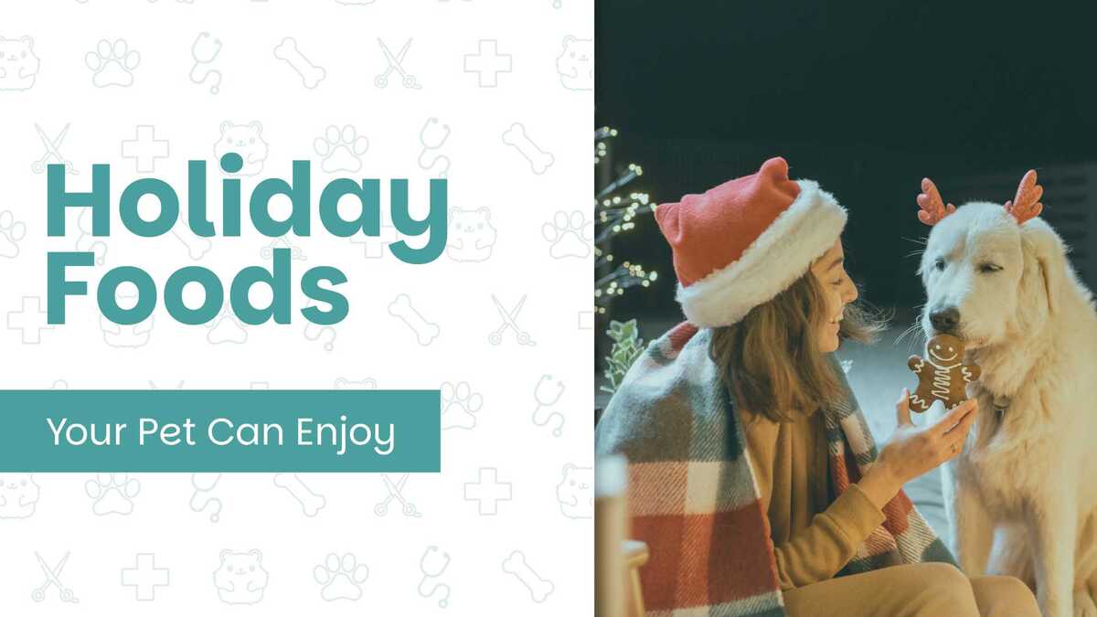 Holiday Foods Your Pets Can Enjoy