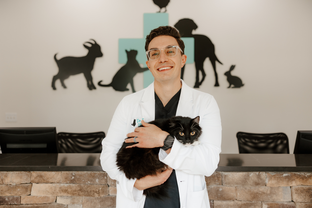 Veterinarian holding a black and white cat in a veterinary clinic