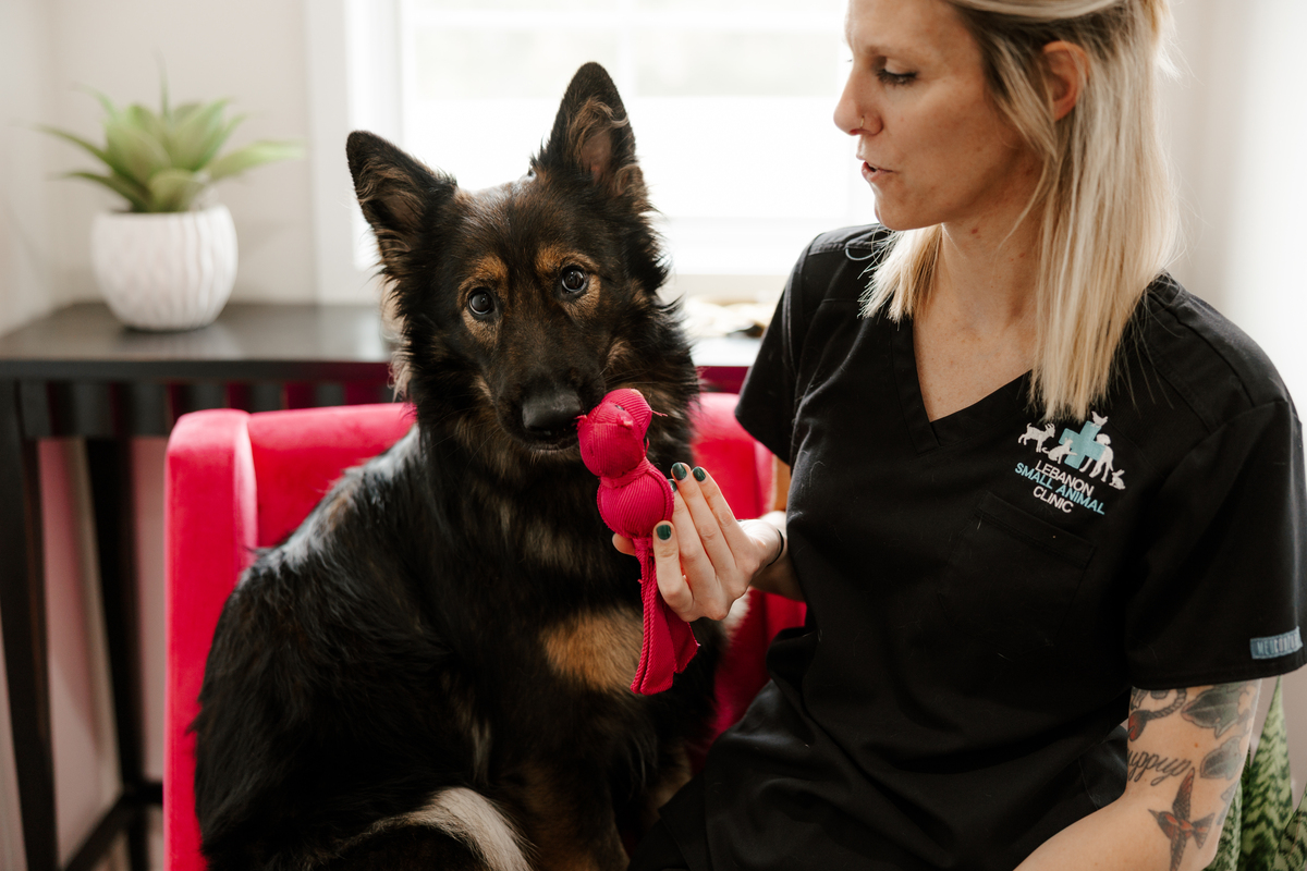 A woman sitting next to next to a dog
