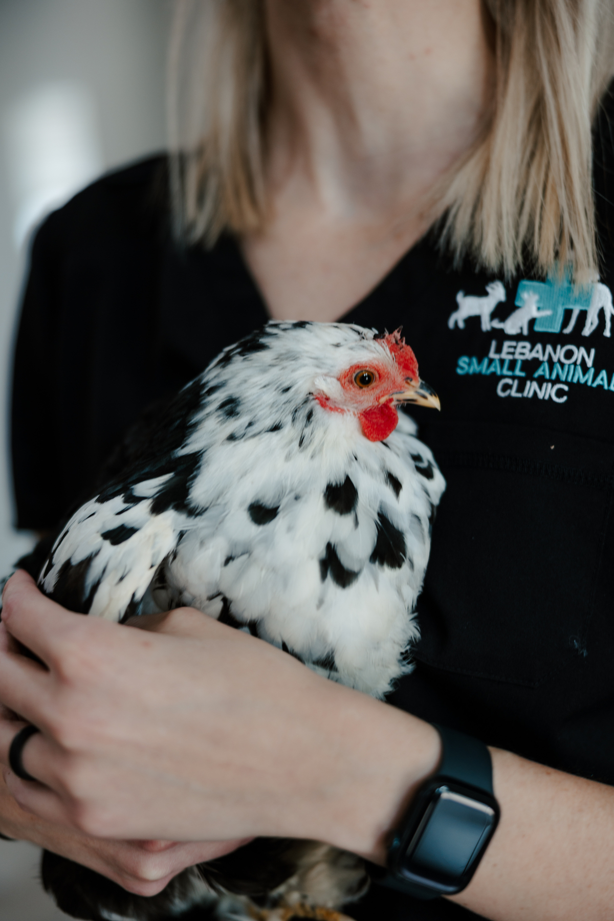 woman holding a white and black chicken