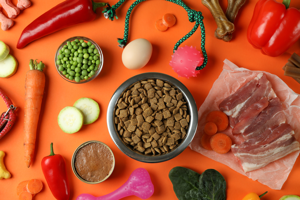 vegetables and meat placed around a bowl of dog food