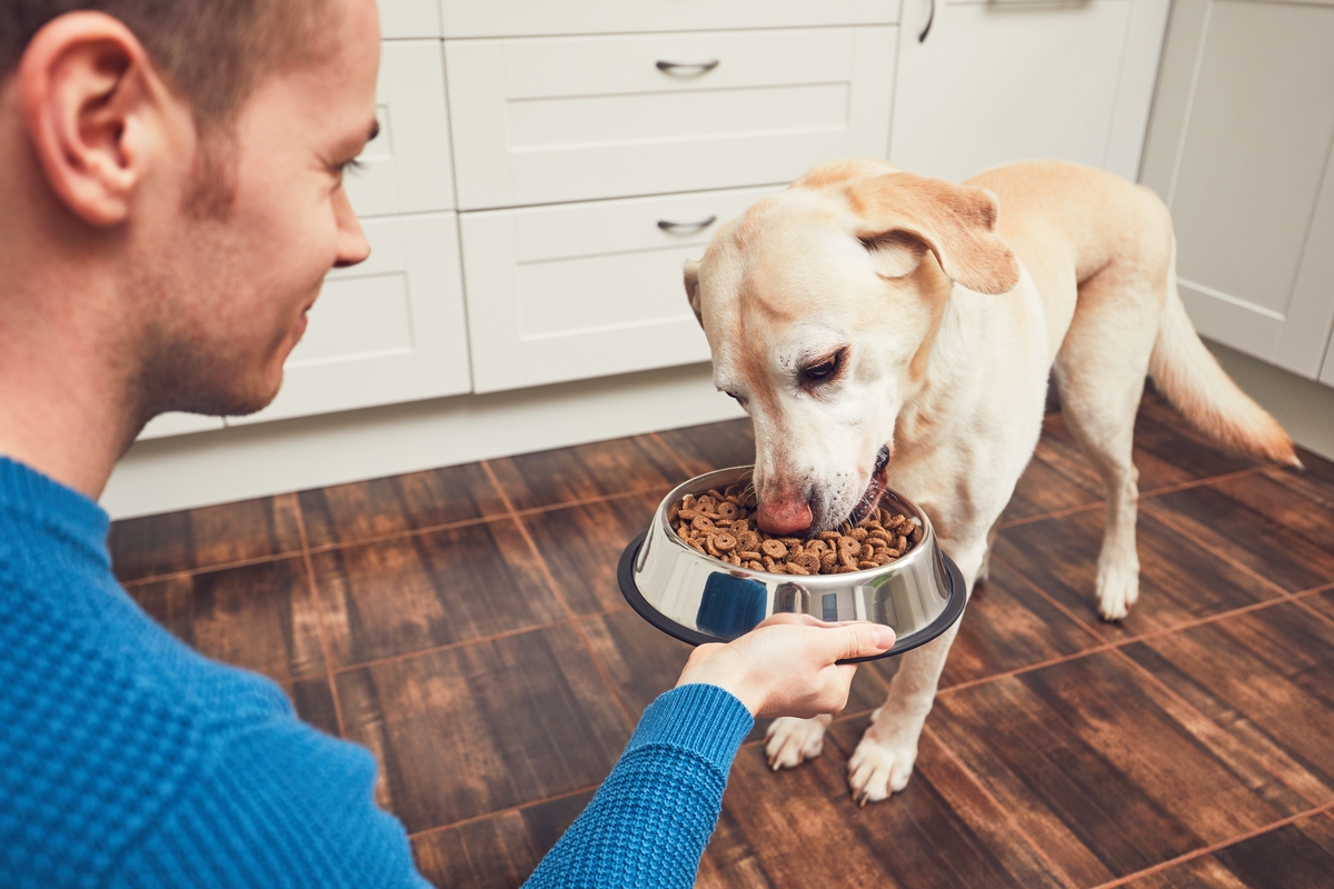 a man holding a dog bowl and a dog eating the food