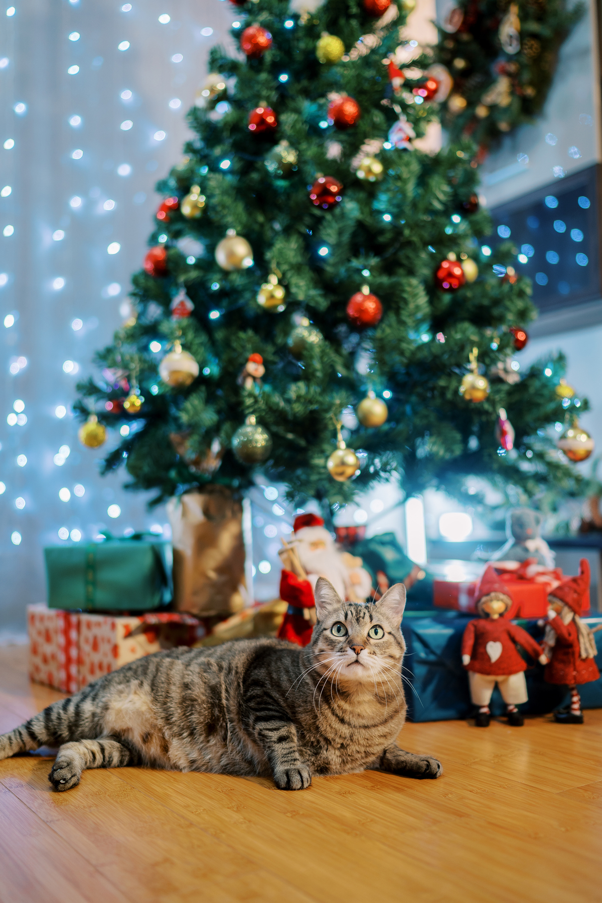 cat laying underneath a Christmas tree