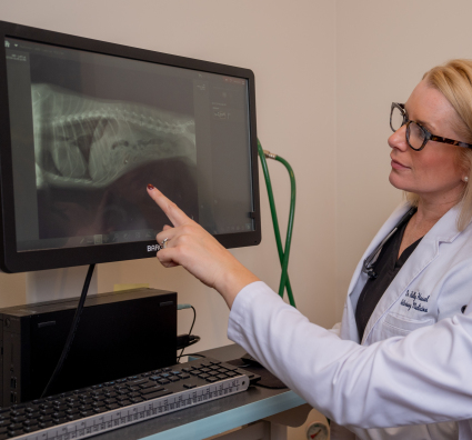 Doctors with X-Ray