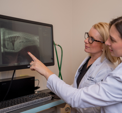 Doctors with X-Ray