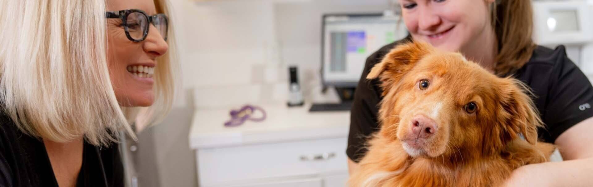 Doctor smiling at dog