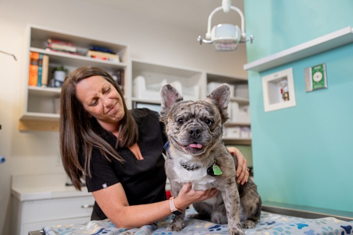 Happy dog with nurse
