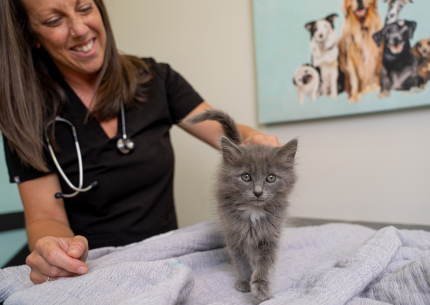 Nurse with kitten