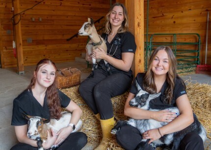 Nurses with goats